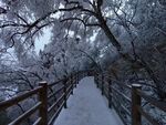 老君山