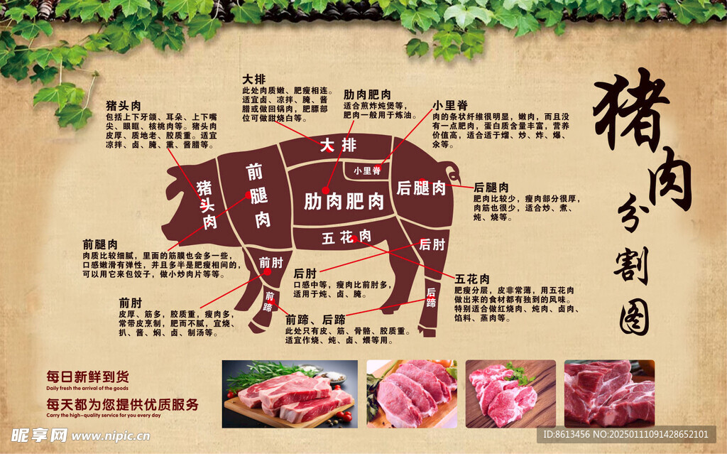 猪肉分割图