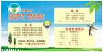 班级文化
