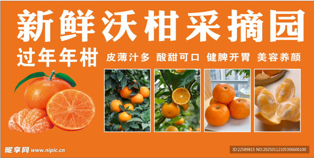 沃柑