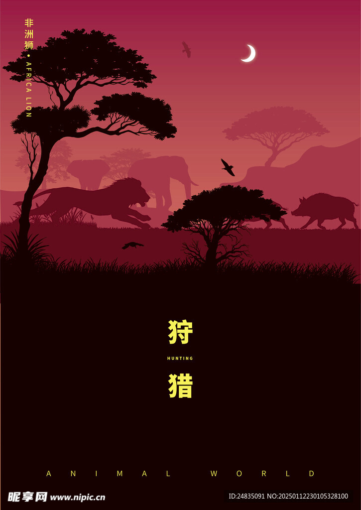 非洲雄狮攻击野猪剪影插画