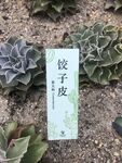 多肉