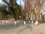 园林景观