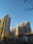 高楼大厦