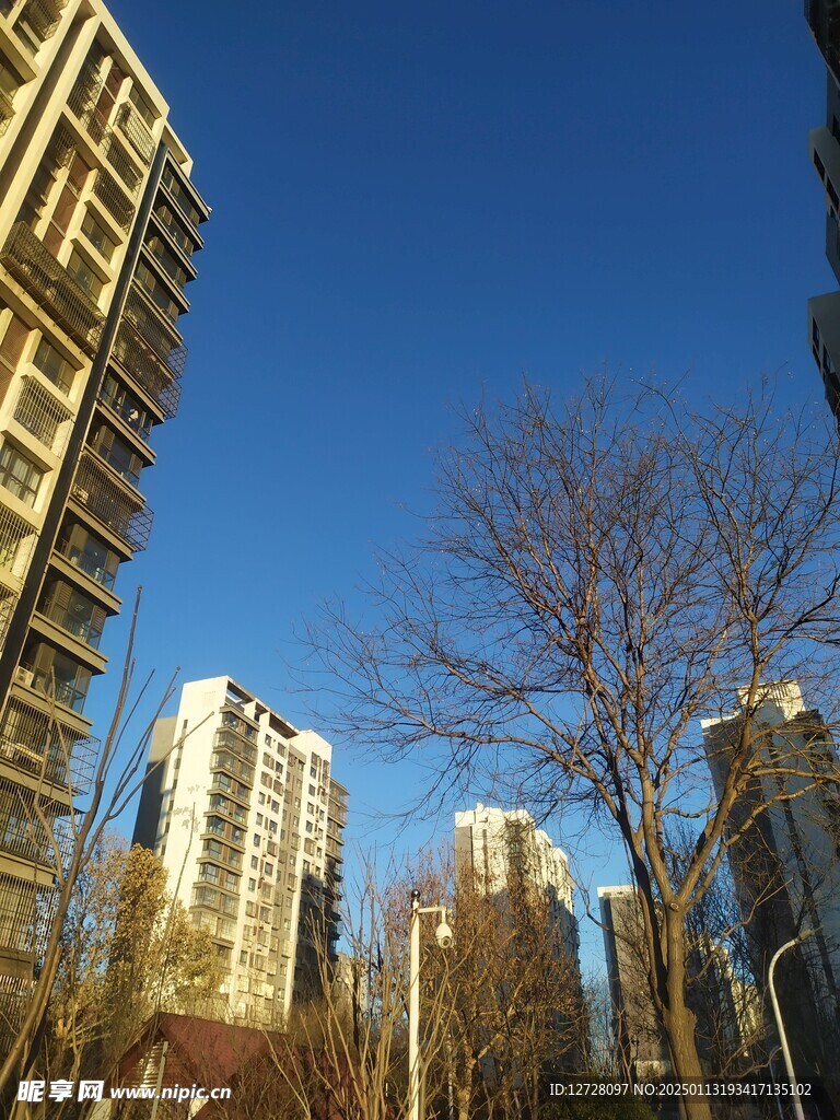 高楼大厦