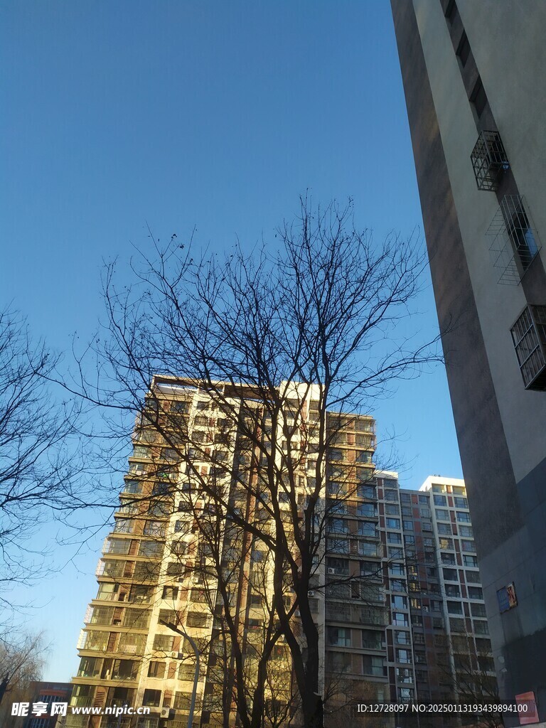高楼大厦