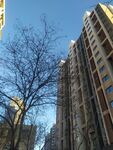 高楼大厦 