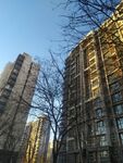高楼大厦 