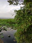 管社山庄