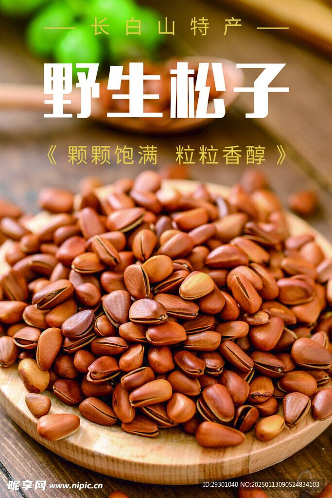 野生松子