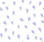 小花