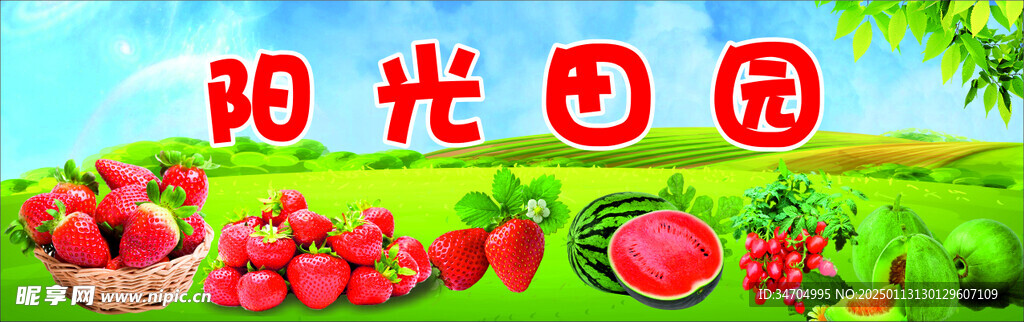 蔬果园