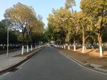 绿色长廊