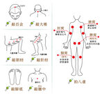 经络穴位拍打按摩手绘线描示意图