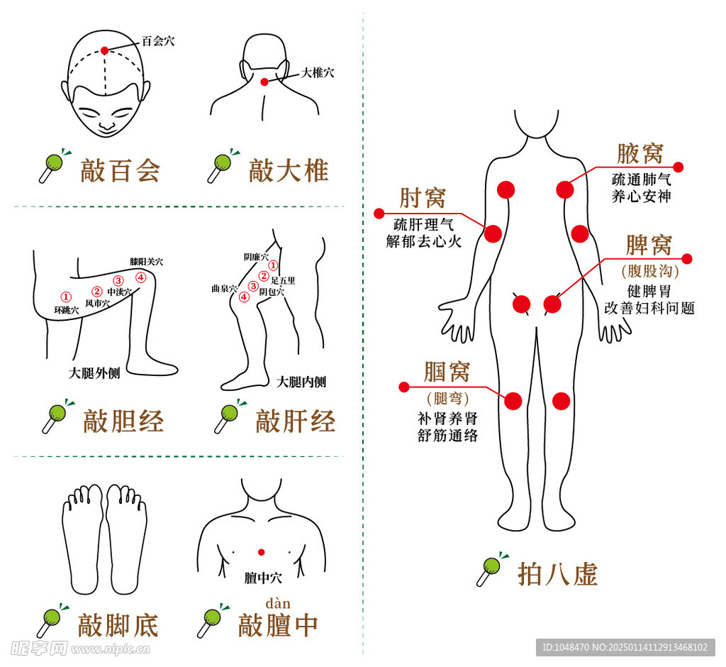 经络穴位拍打按摩手绘线描示意图