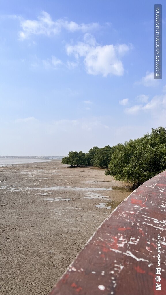 深圳宝安西湾红树林公园