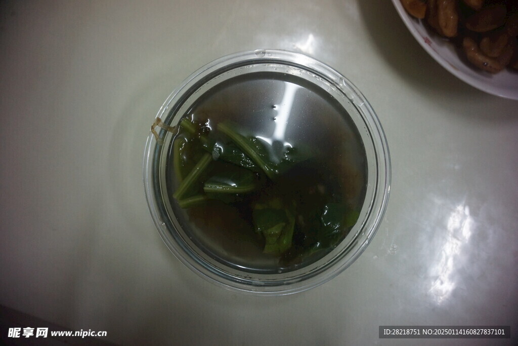 紫菜