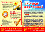 种业传单