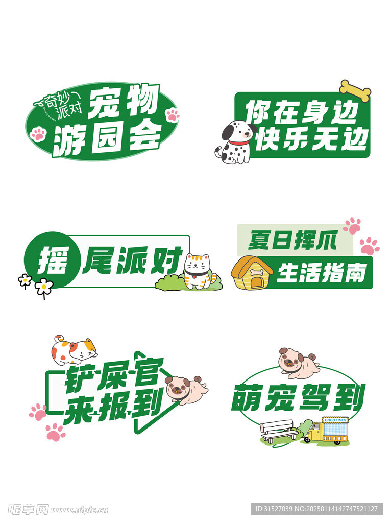 宠物手举牌