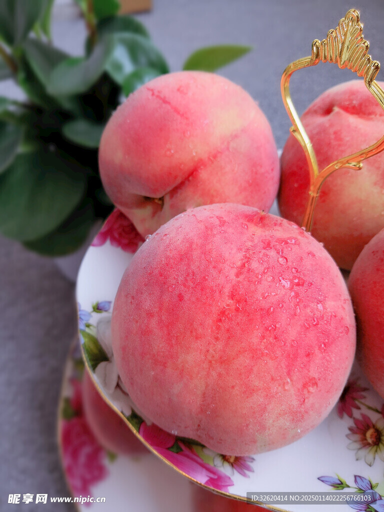 桃子 水蜜桃