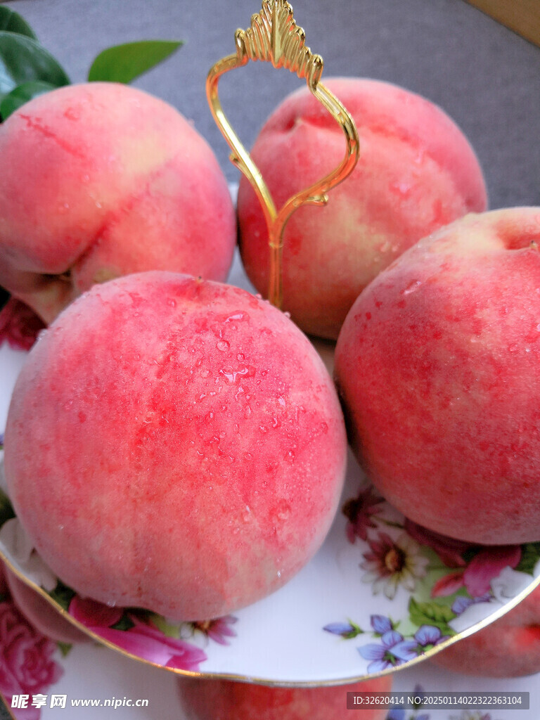 桃子 水蜜桃