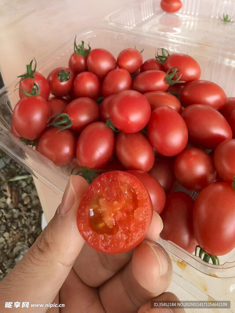 圣女果