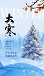 大寒海报