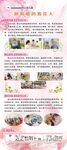 班主任风采展架
