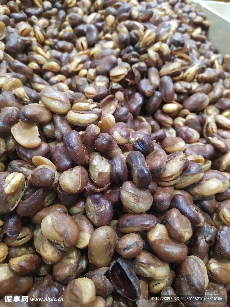 蚕豆