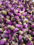 玫瑰花茶