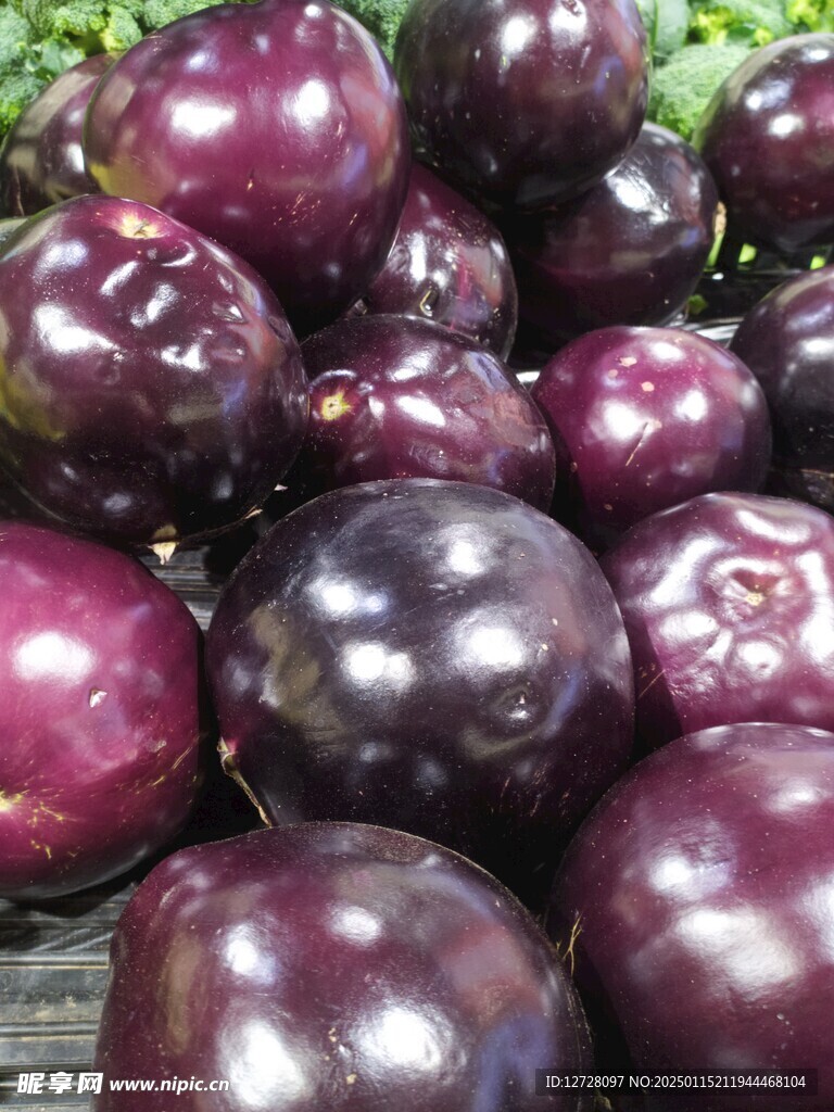 圆茄子 