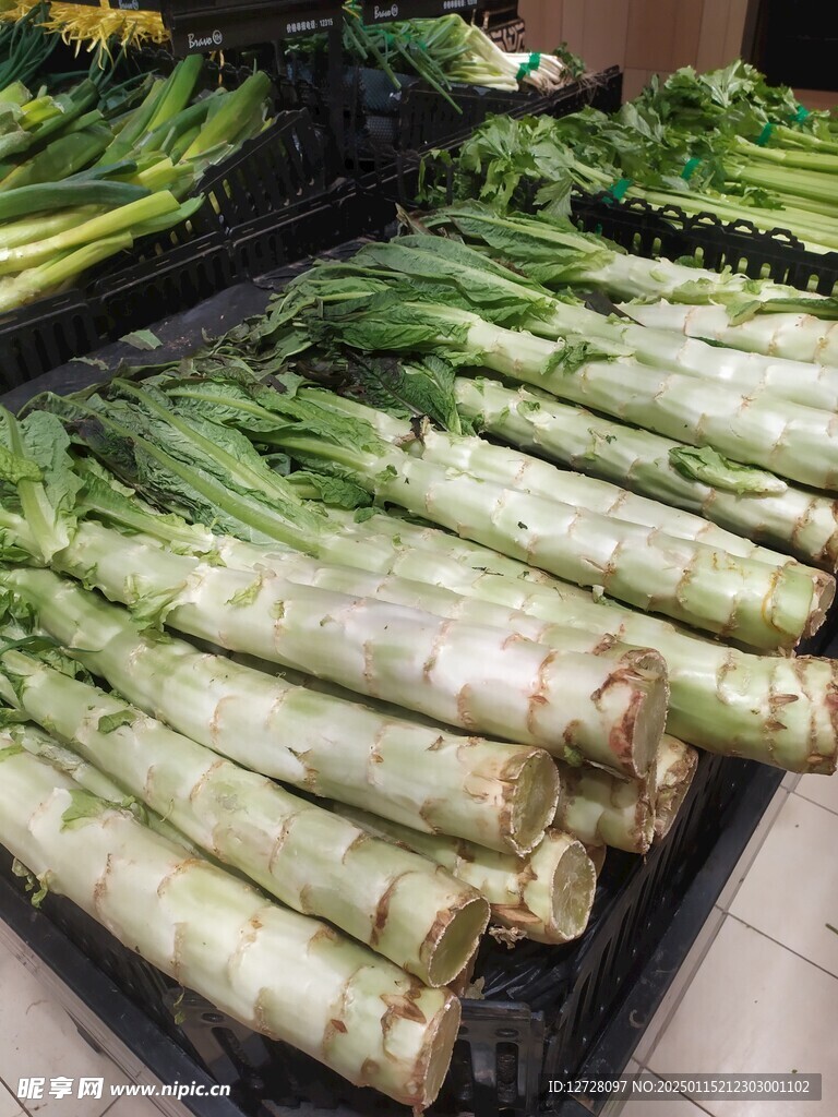  菜笋 