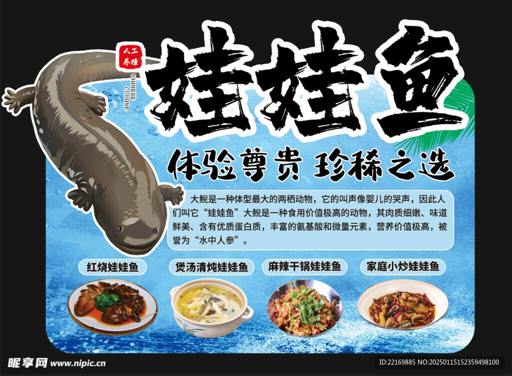 娃娃鱼