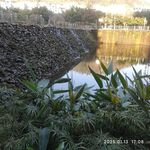 水坝