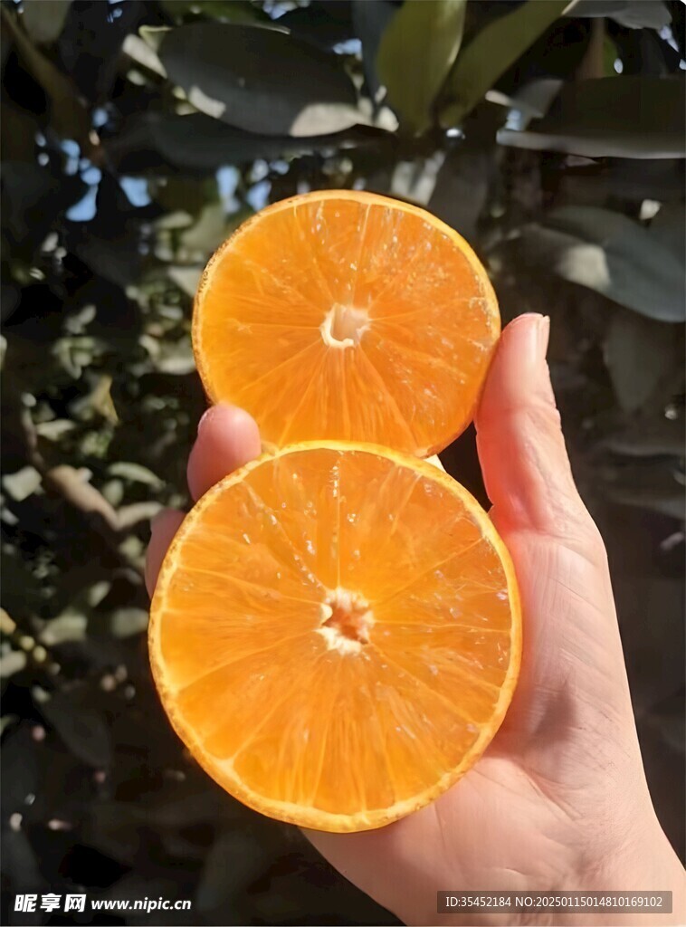 柑橘