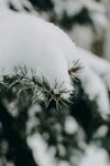 冬天雪景