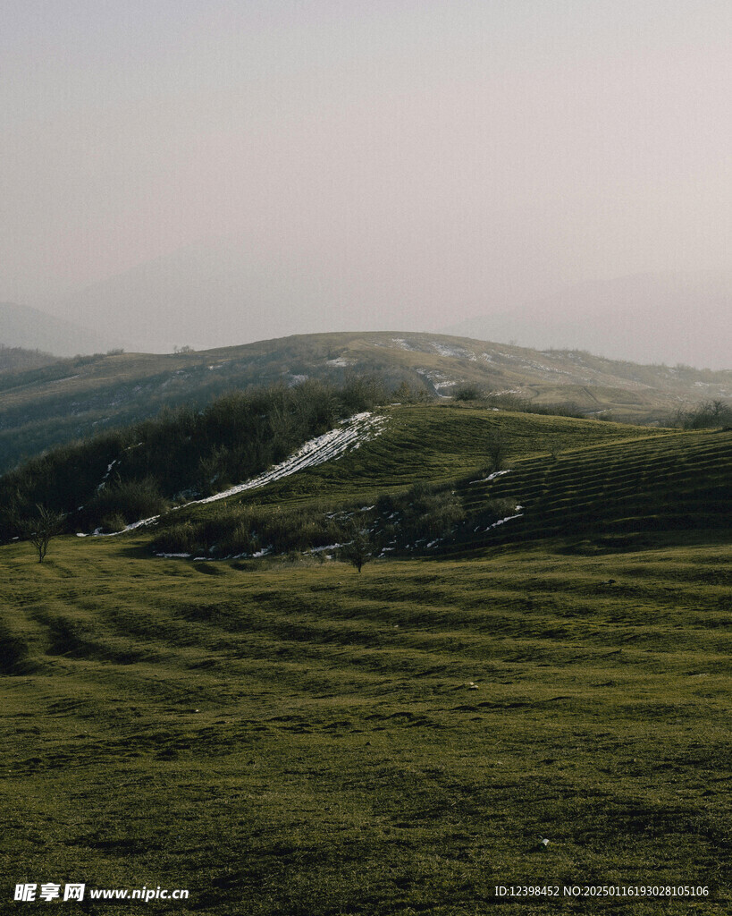 草原