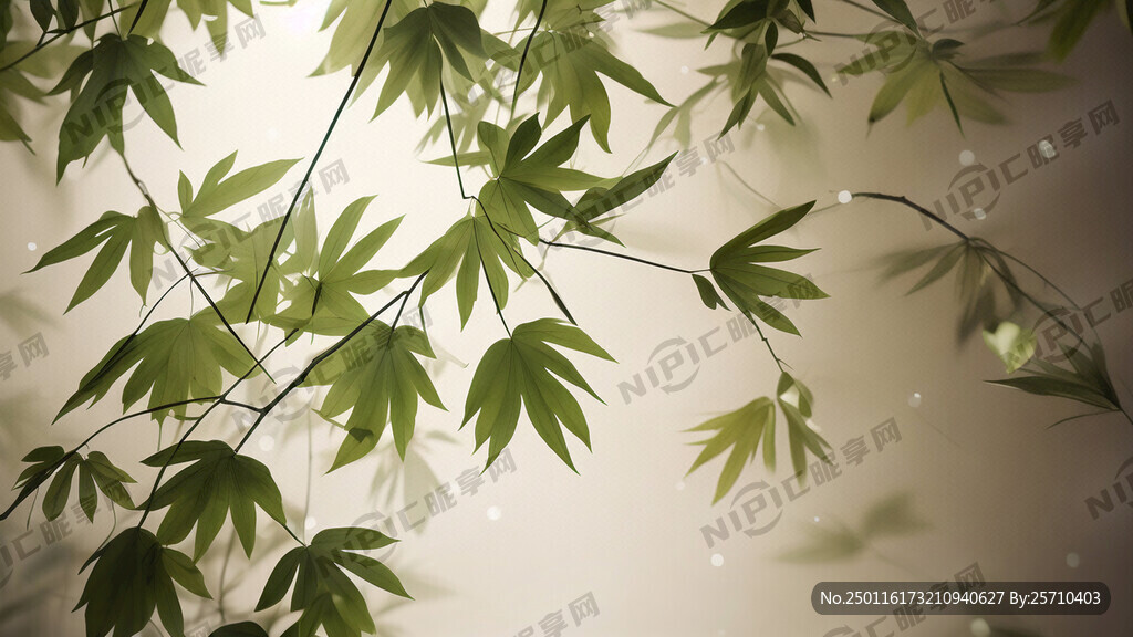 竹叶 背景图 浅色