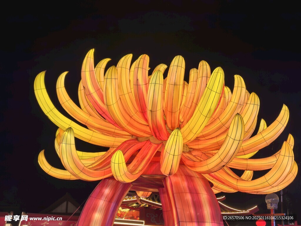 菊花彩灯