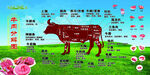 牛肉部位分割图