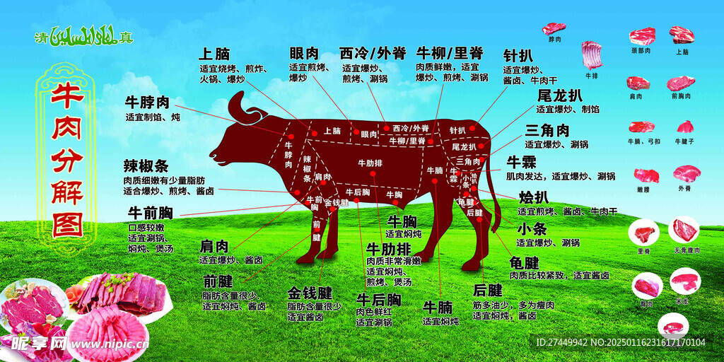 牛肉部位分割图