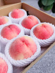 桃子 水蜜桃