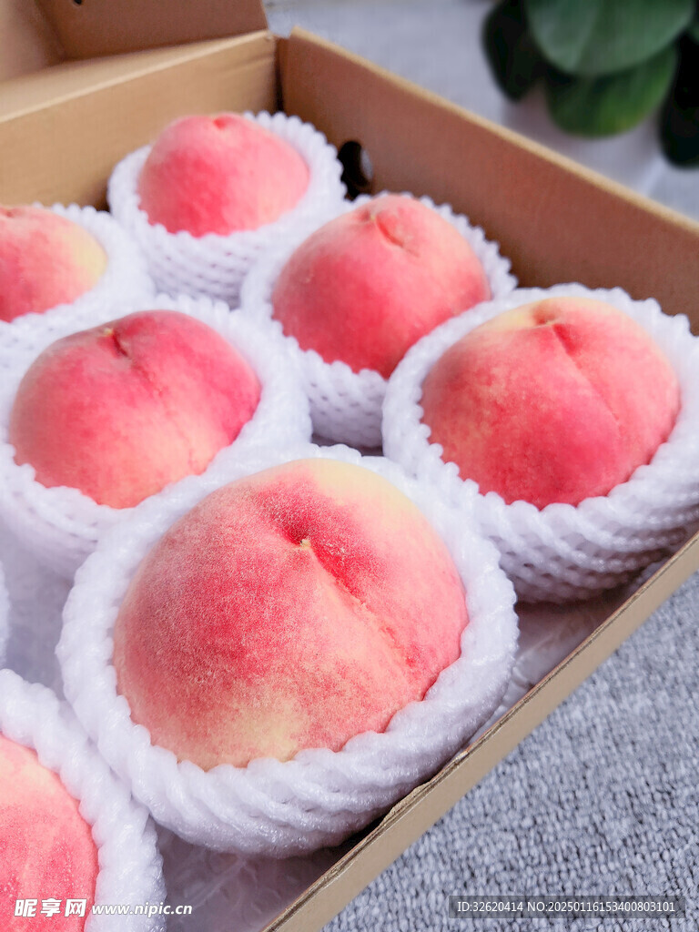 桃子 水蜜桃