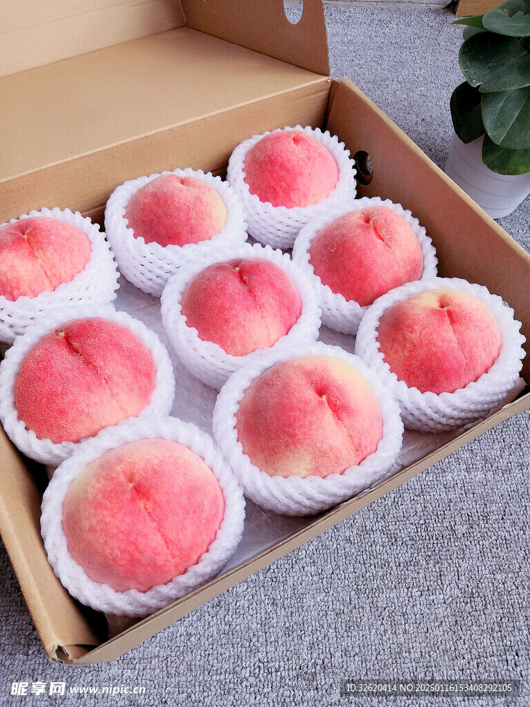 桃子 水蜜桃