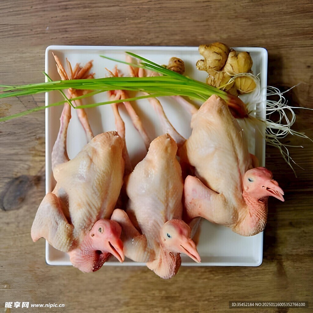 鸽子
