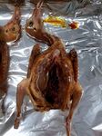 烤鸽子