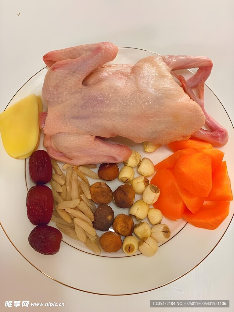 鸽子