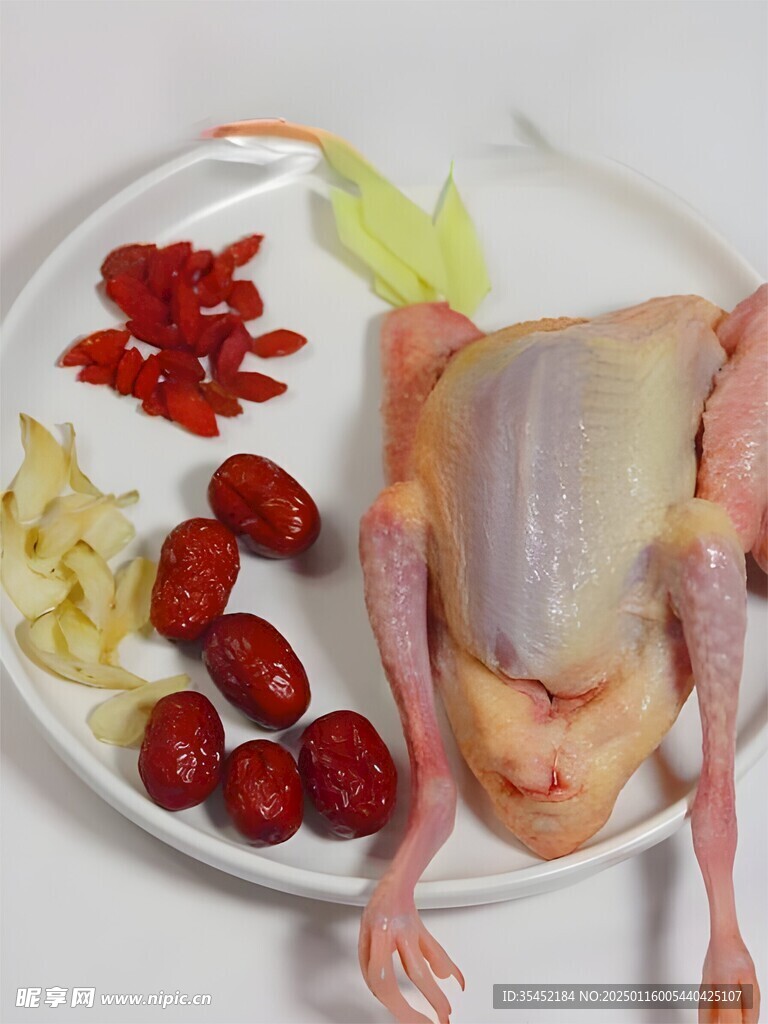 鸽子