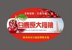 大樱桃标贴