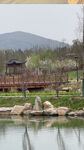 公园自然风景